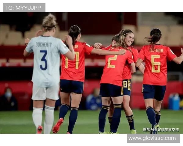 2010年世界杯决赛西班牙对荷兰精彩回放及赛后分析视频合集