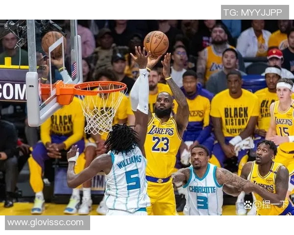 2010年11月湖人对阵黄蜂精彩回顾与赛季表现分析