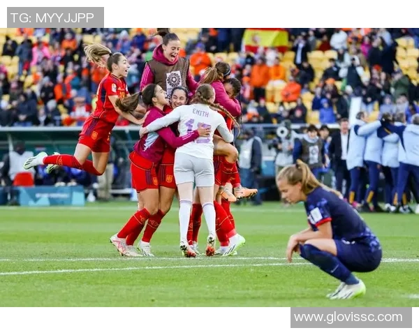 2014年世界杯经典对决荷兰对西班牙精彩视频下载回顾